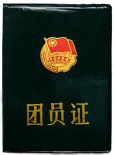 ä¸å›½å…±äº§ä¸»ä¹‰é’年团团员è¯